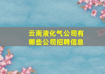 云南液化气公司有哪些公司招聘信息