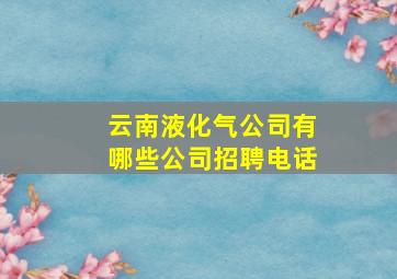 云南液化气公司有哪些公司招聘电话