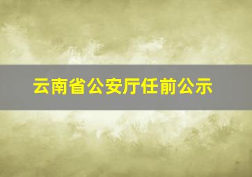 云南省公安厅任前公示