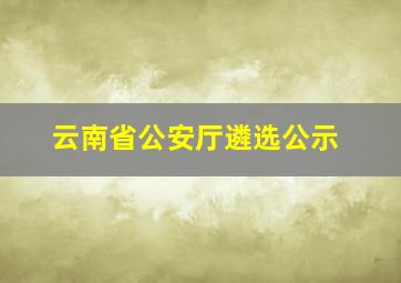 云南省公安厅遴选公示