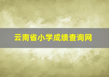 云南省小学成绩查询网