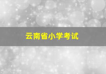 云南省小学考试