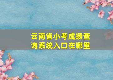 云南省小考成绩查询系统入口在哪里