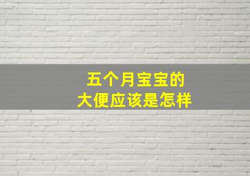 五个月宝宝的大便应该是怎样