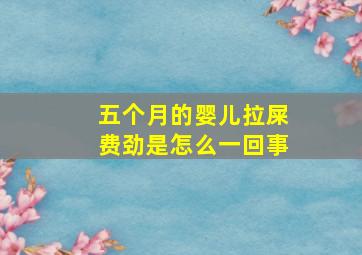 五个月的婴儿拉屎费劲是怎么一回事