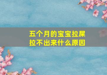 五个月的宝宝拉屎拉不出来什么原因