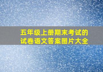 五年级上册期末考试的试卷语文答案图片大全