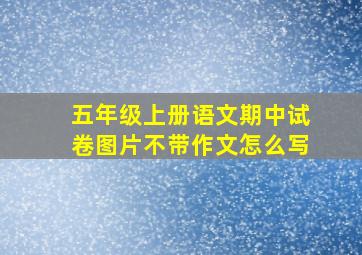 五年级上册语文期中试卷图片不带作文怎么写