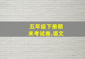 五年级下册期末考试卷,语文