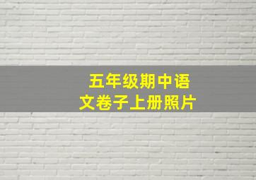 五年级期中语文卷子上册照片