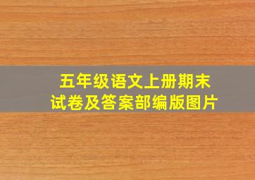 五年级语文上册期末试卷及答案部编版图片