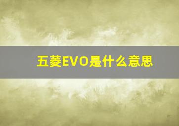 五菱EVO是什么意思