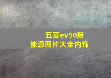 五菱ev50新能源图片大全内饰