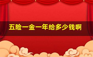 五险一金一年给多少钱啊