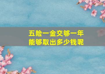 五险一金交够一年能够取出多少钱呢