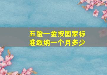 五险一金按国家标准缴纳一个月多少