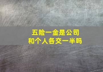 五险一金是公司和个人各交一半吗