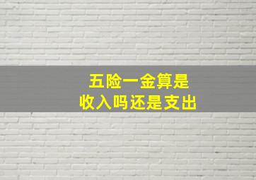 五险一金算是收入吗还是支出