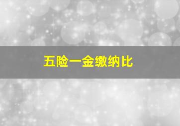 五险一金缴纳比