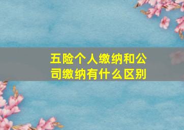 五险个人缴纳和公司缴纳有什么区别