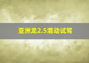 亚洲龙2.5混动试驾