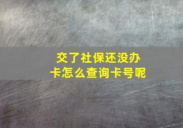 交了社保还没办卡怎么查询卡号呢