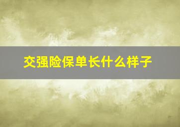 交强险保单长什么样子