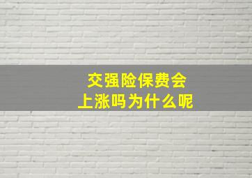 交强险保费会上涨吗为什么呢