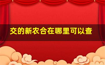 交的新农合在哪里可以查