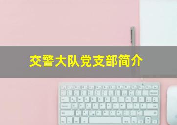 交警大队党支部简介