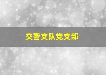 交警支队党支部