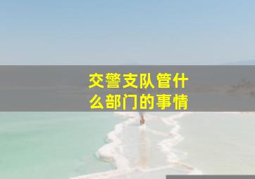 交警支队管什么部门的事情