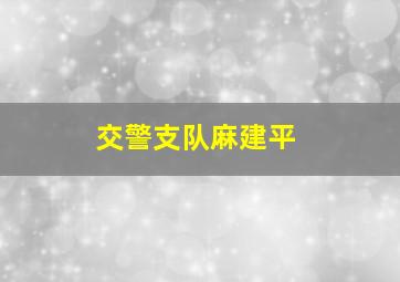 交警支队麻建平