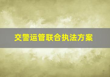 交警运管联合执法方案