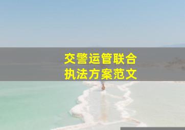 交警运管联合执法方案范文