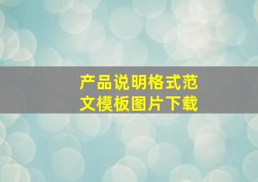 产品说明格式范文模板图片下载