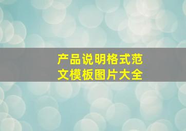 产品说明格式范文模板图片大全