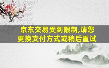 京东交易受到限制,请您更换支付方式或稍后重试