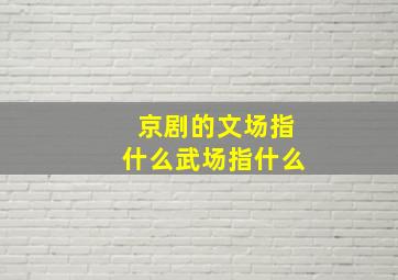 京剧的文场指什么武场指什么