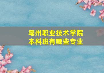 亳州职业技术学院本科班有哪些专业