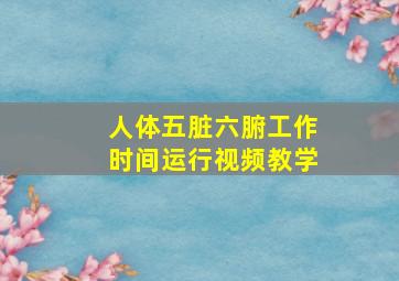 人体五脏六腑工作时间运行视频教学