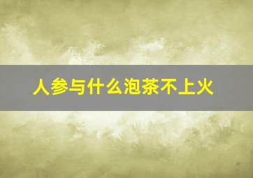 人参与什么泡茶不上火