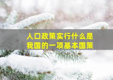 人口政策实行什么是我国的一项基本国策