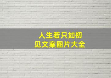 人生若只如初见文案图片大全