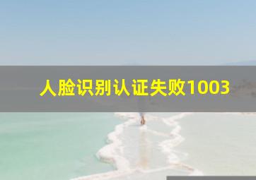 人脸识别认证失败1003