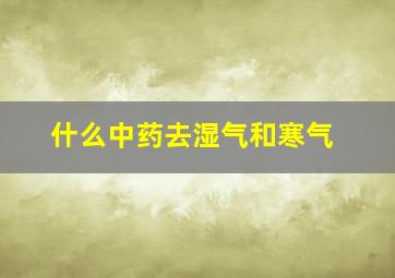 什么中药去湿气和寒气