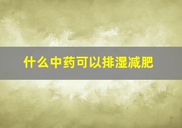 什么中药可以排湿减肥