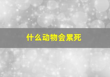 什么动物会累死