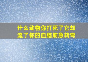 什么动物你打死了它却流了你的血脑筋急转弯