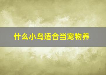 什么小鸟适合当宠物养